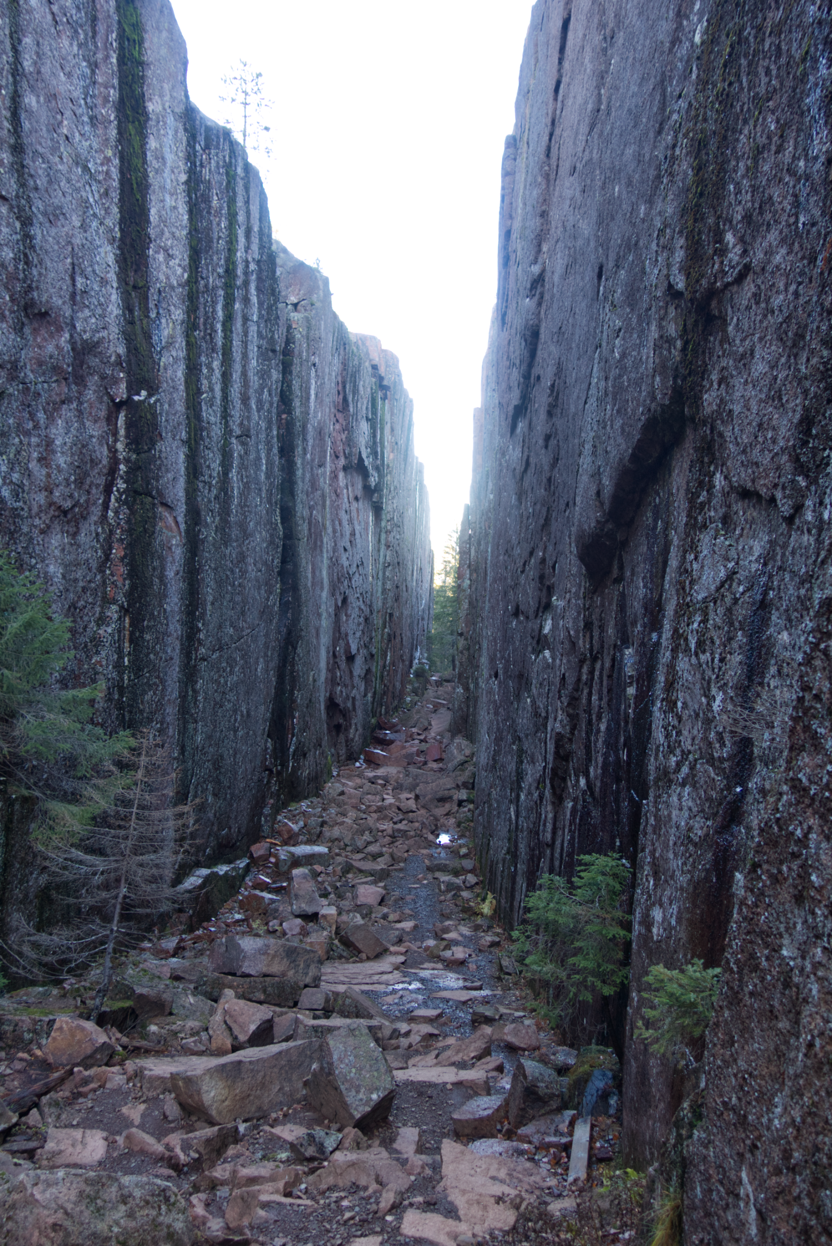 Apalurdpasset